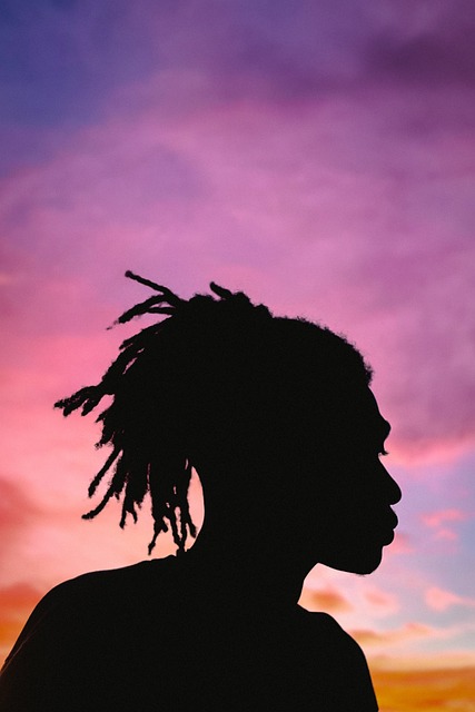 Silhouette of a person with dreadlocks standing against a sunset sky.