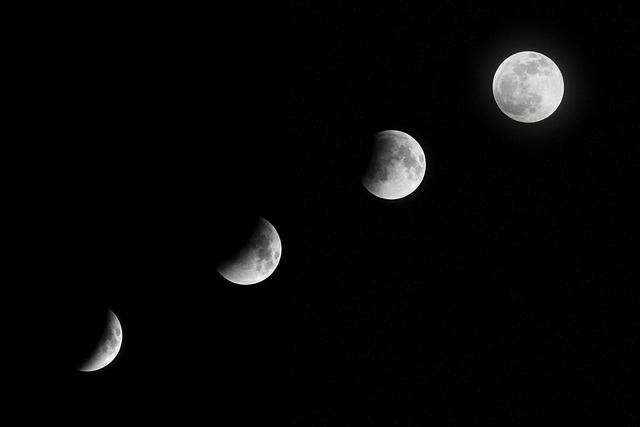 Image of the moon in different phases, depicted in black and white.