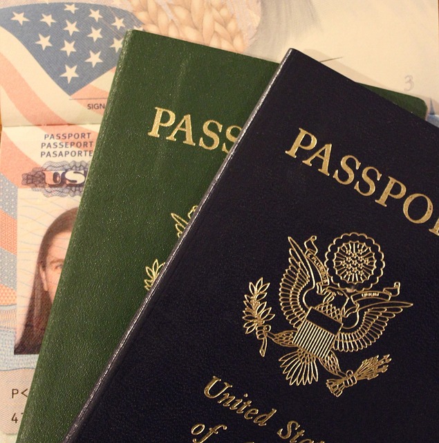 Travel documents: passport and visa