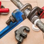 Two wrens perched near a pipe wrench on a tiled floor.