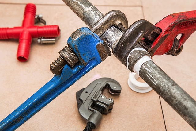 Two wrens perched near a pipe wrench on a tiled floor.