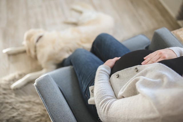 A pregnant woman sitting on a couch with her dog.